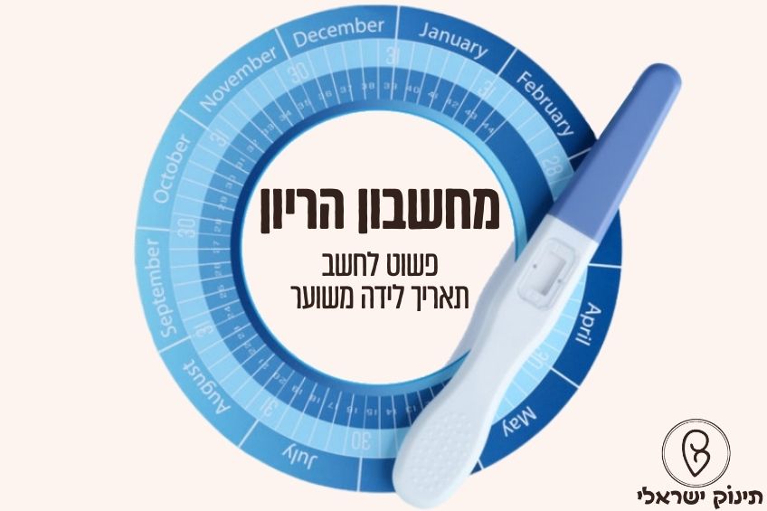 מחשבון הריון